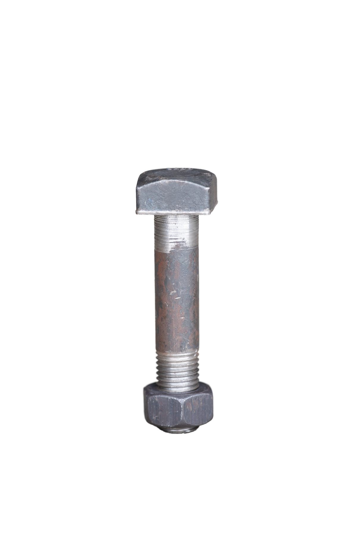 Fish Bolt - Image 2