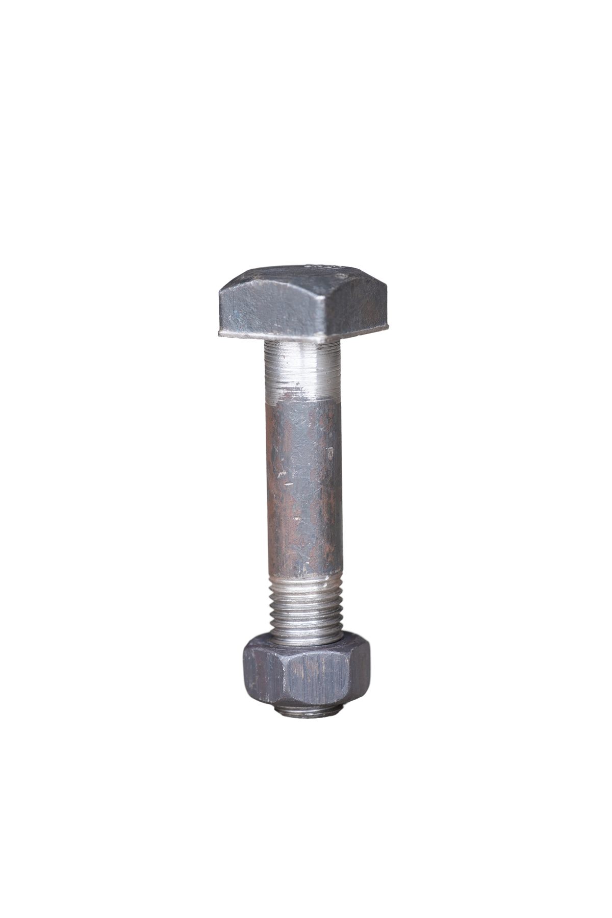Fish Bolt - Image 3