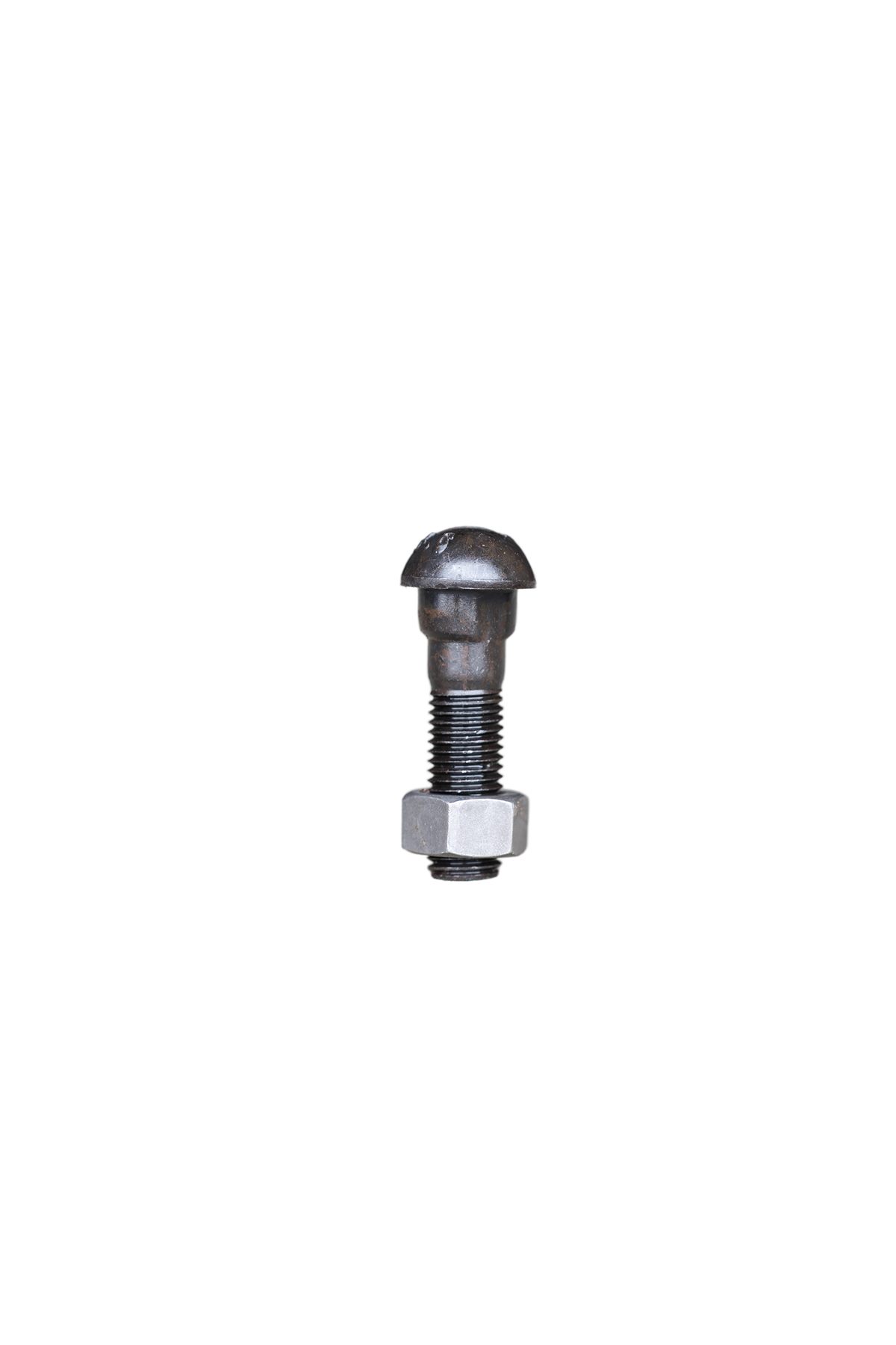 Fish Bolt - Image 4