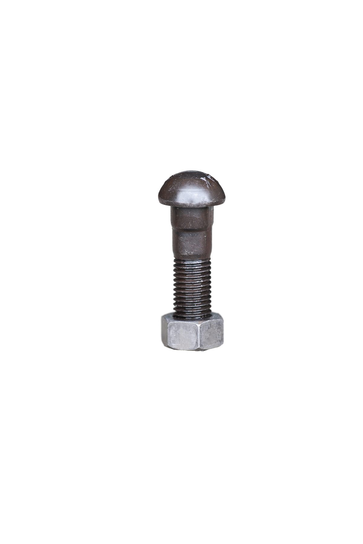 Fish Bolt - Image 5