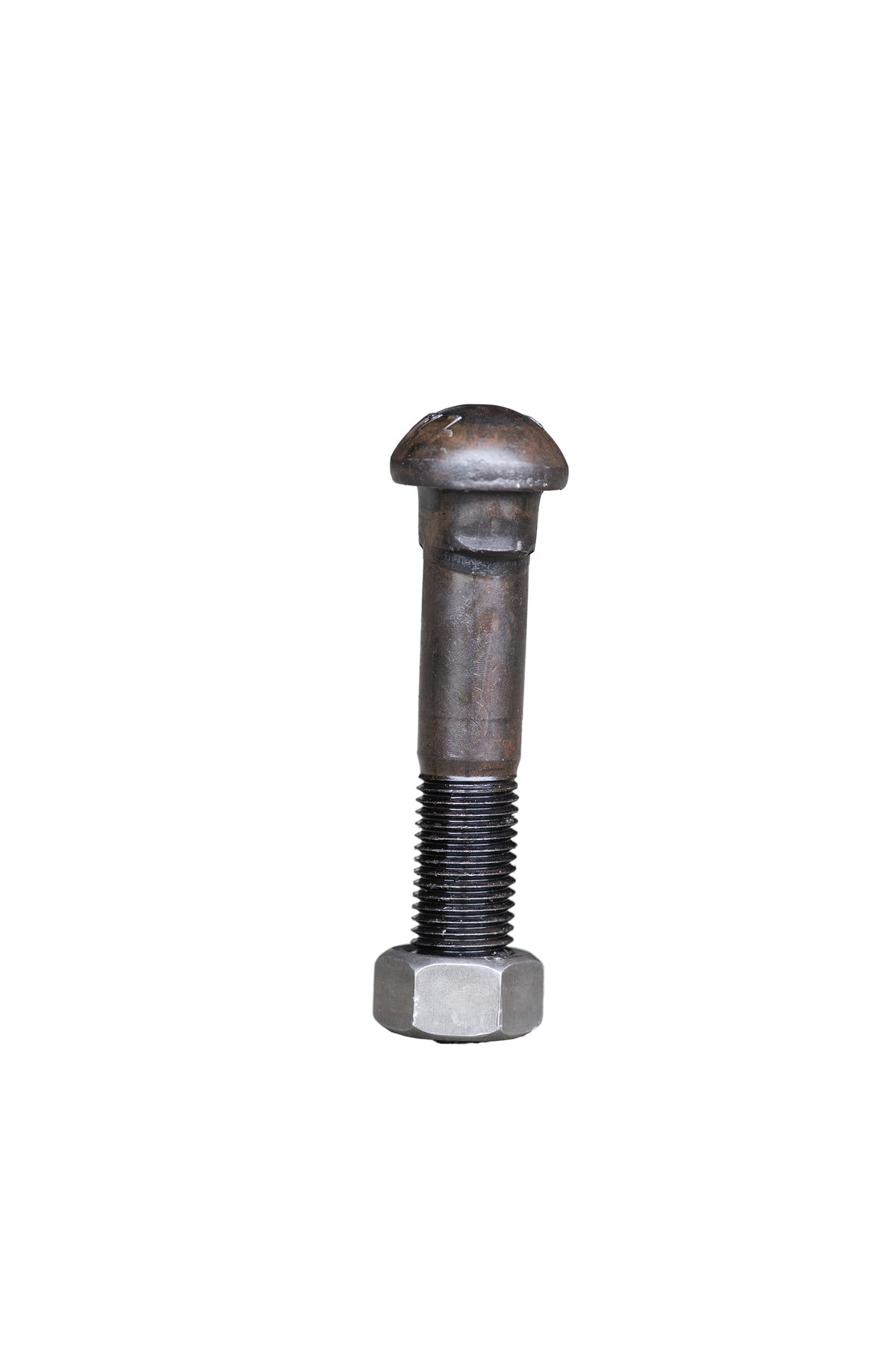 Fish Bolt - Image 6