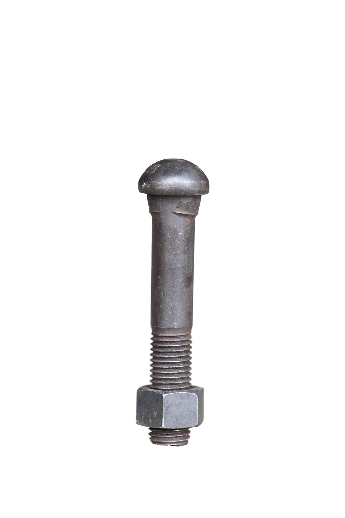 Fish Bolt - Image 7