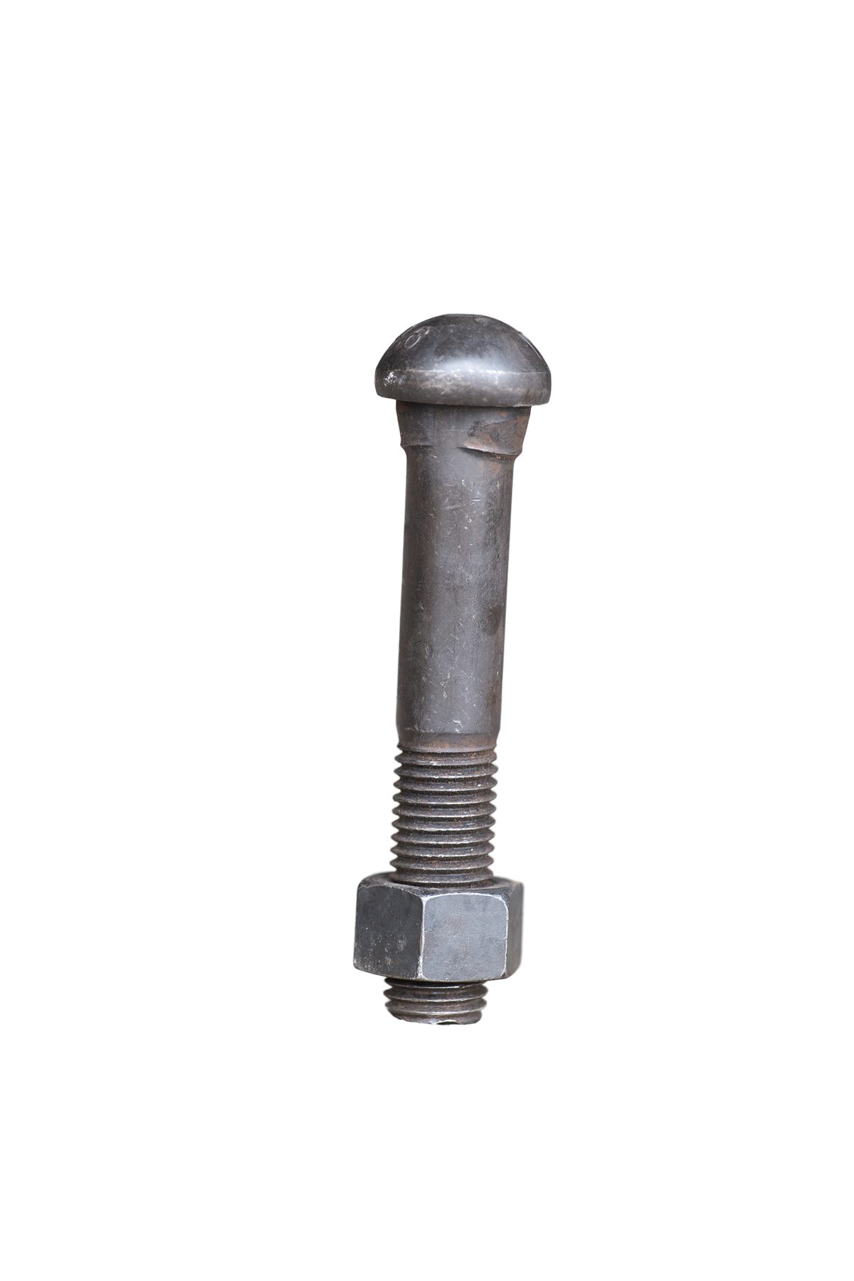 Fish Bolt - Image 8