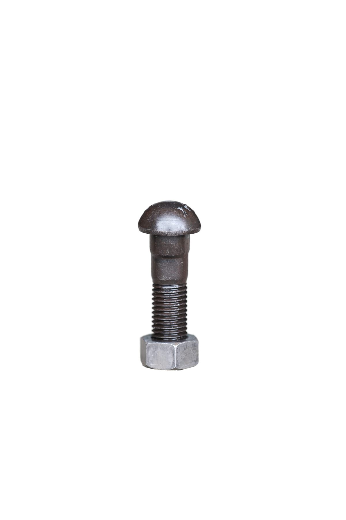 Fish Bolt - Image 9