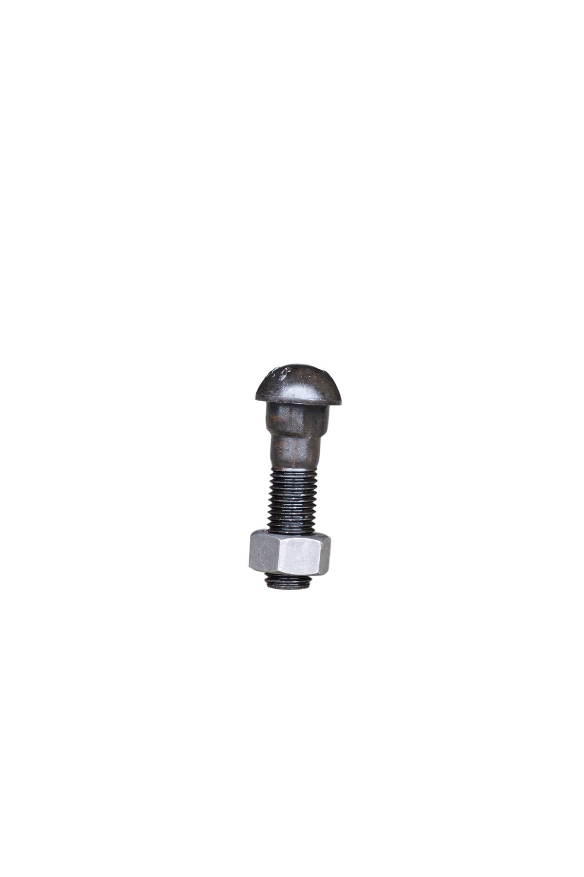 Fish Bolt - Image 10
