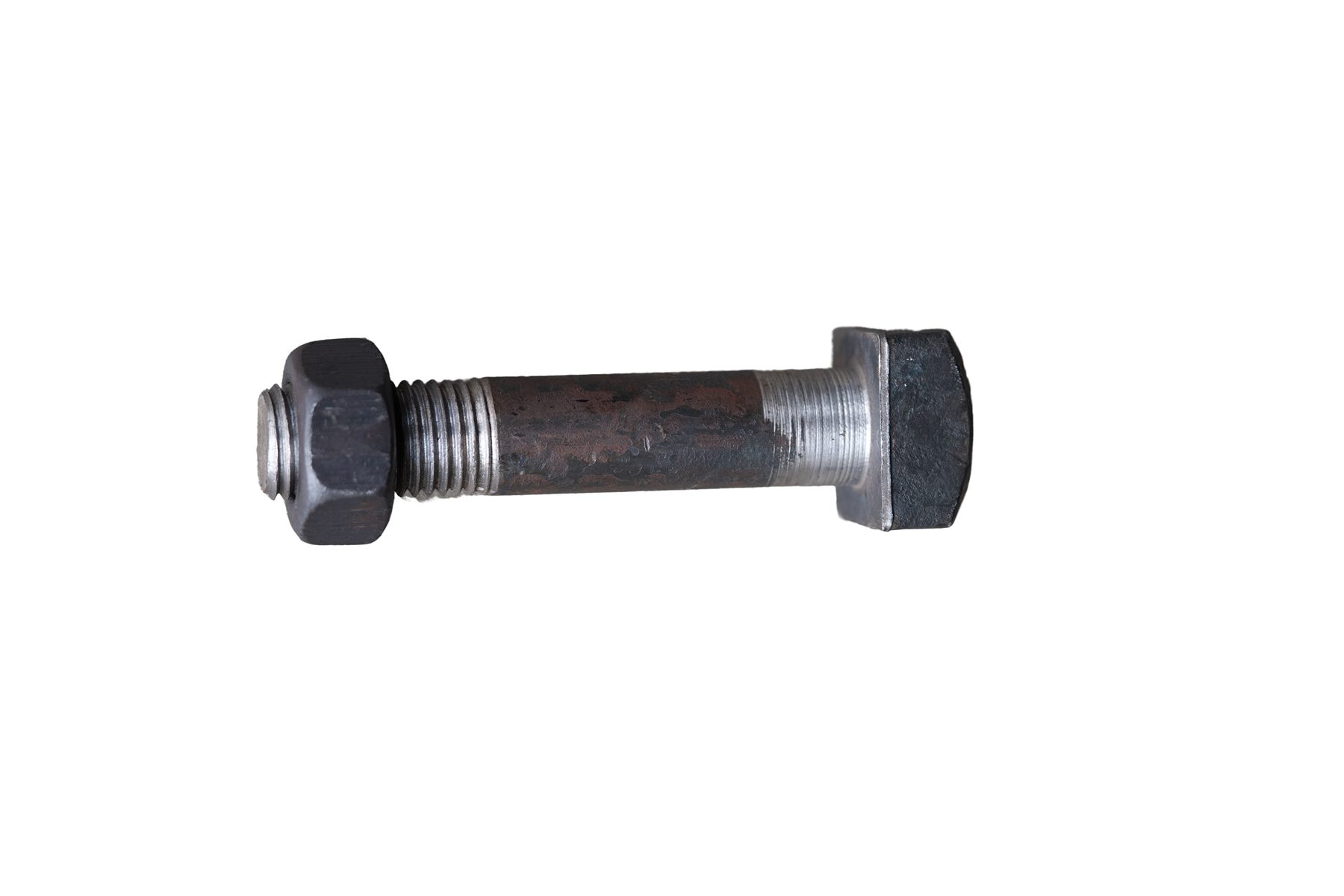 Fish Bolt - Image 11