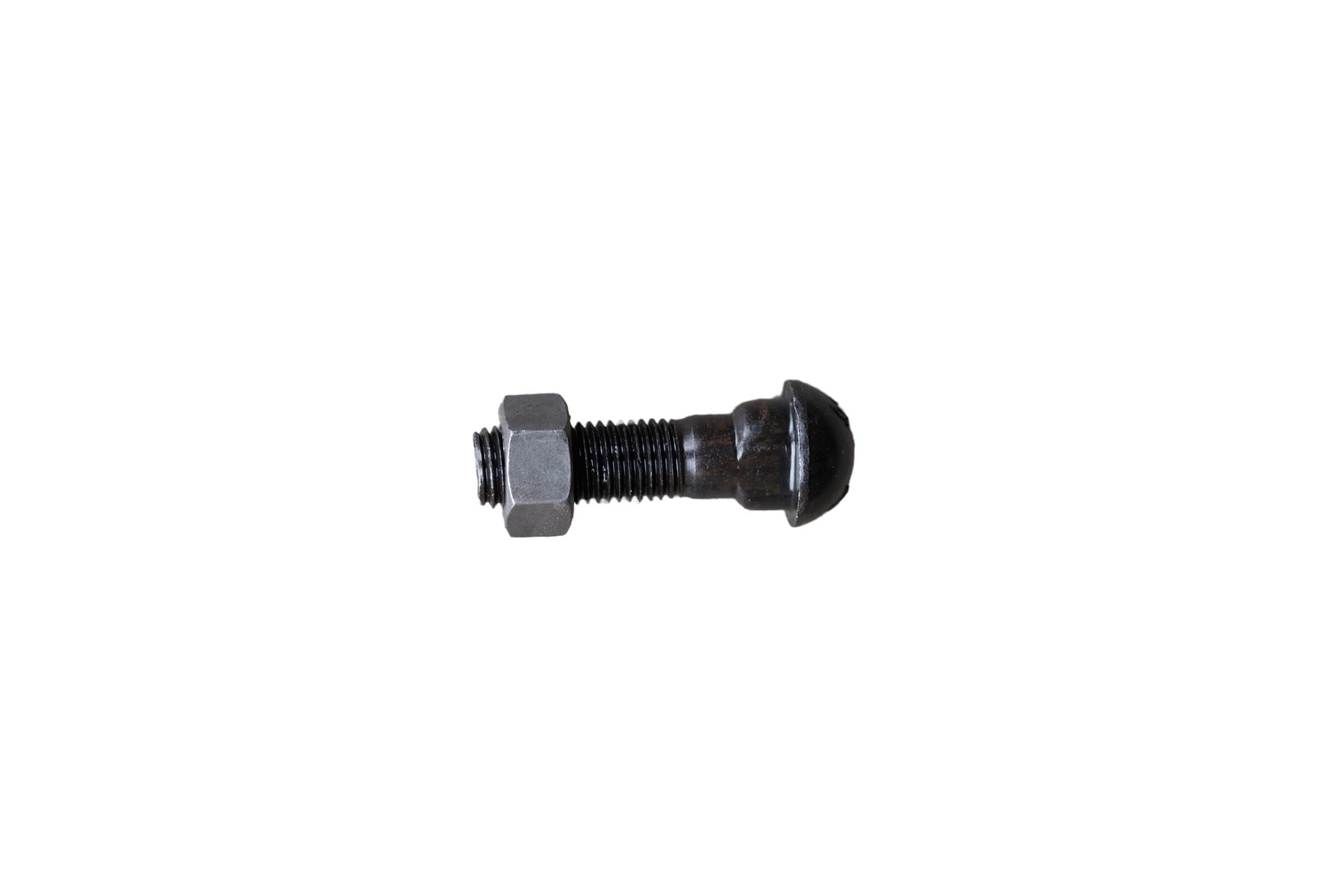 Fish Bolt - Image 12
