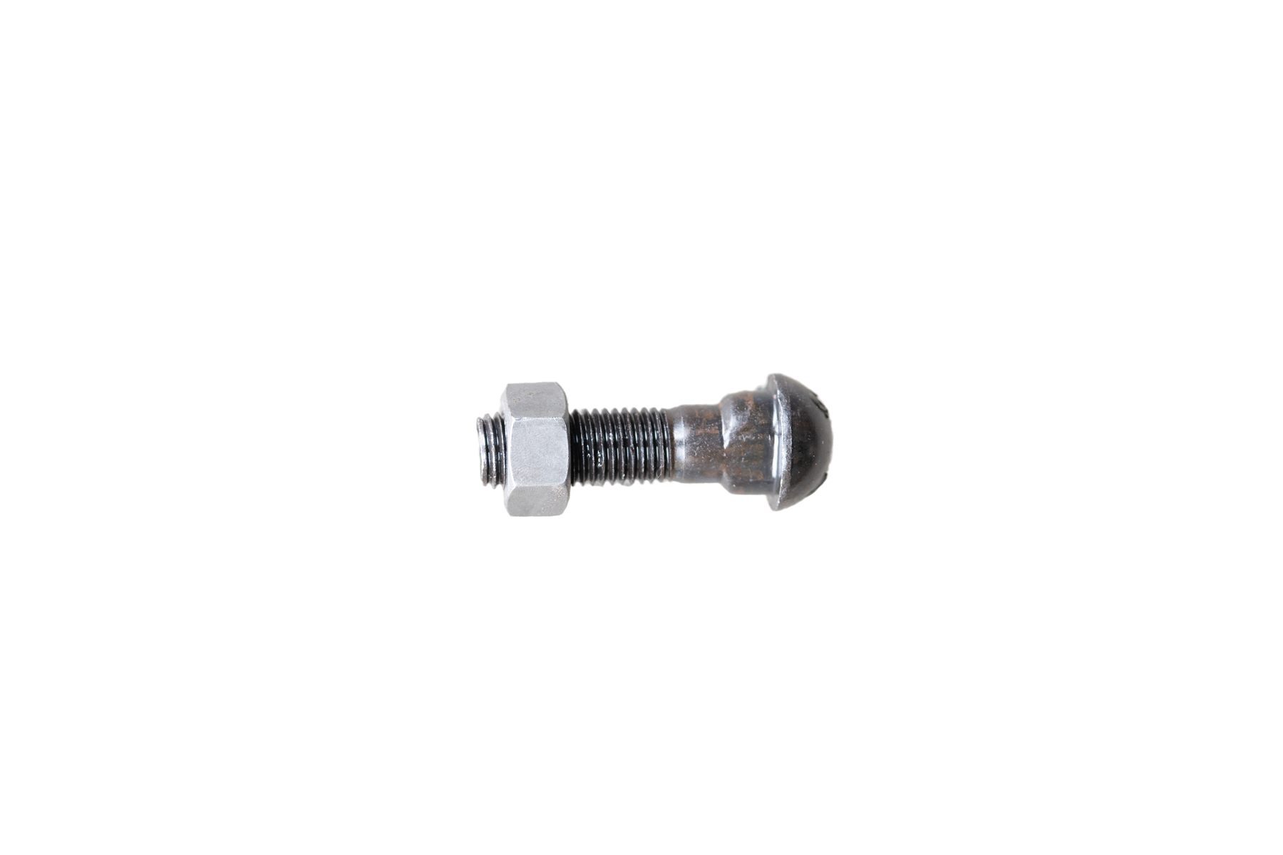 Fish Bolt - Image 15