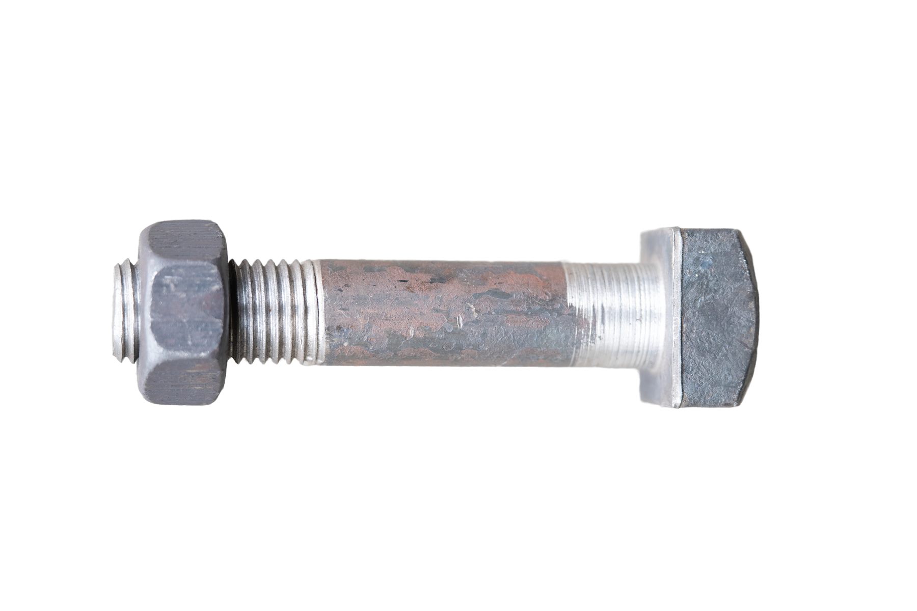 Fish Bolt - Image 16