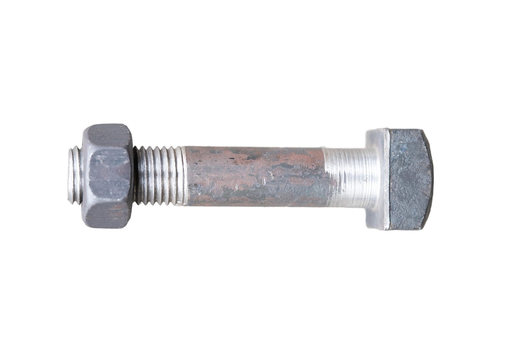 Fish Bolt - Image 17