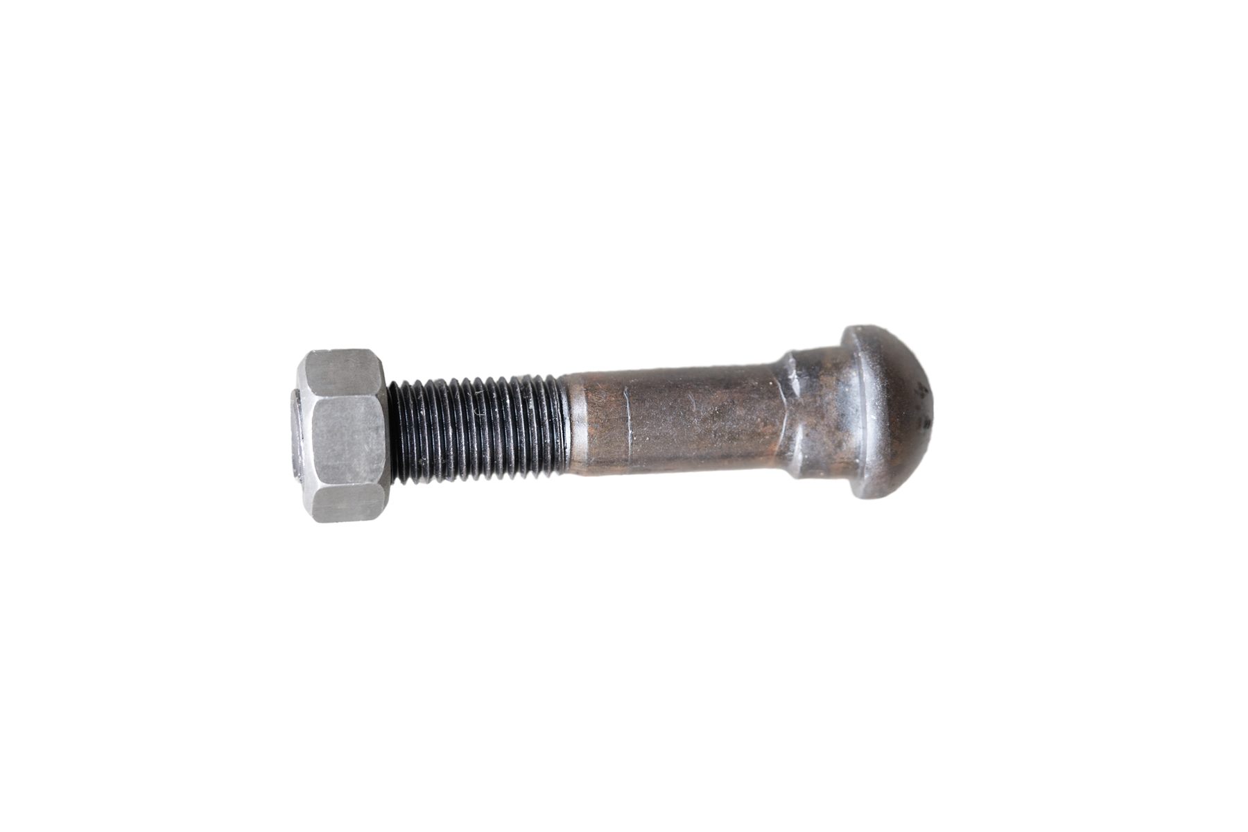 Fish Bolt - Image 18
