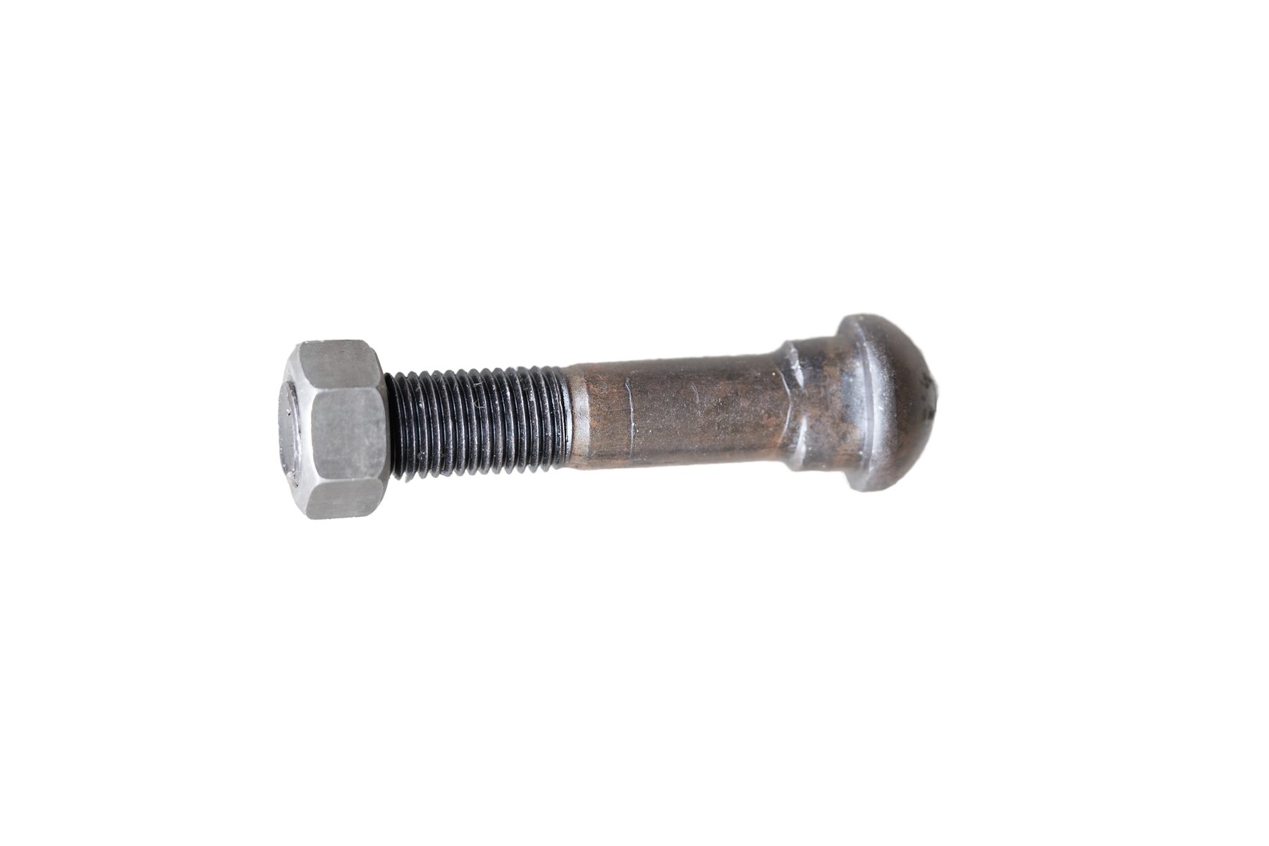 Fish Bolt - Image 19