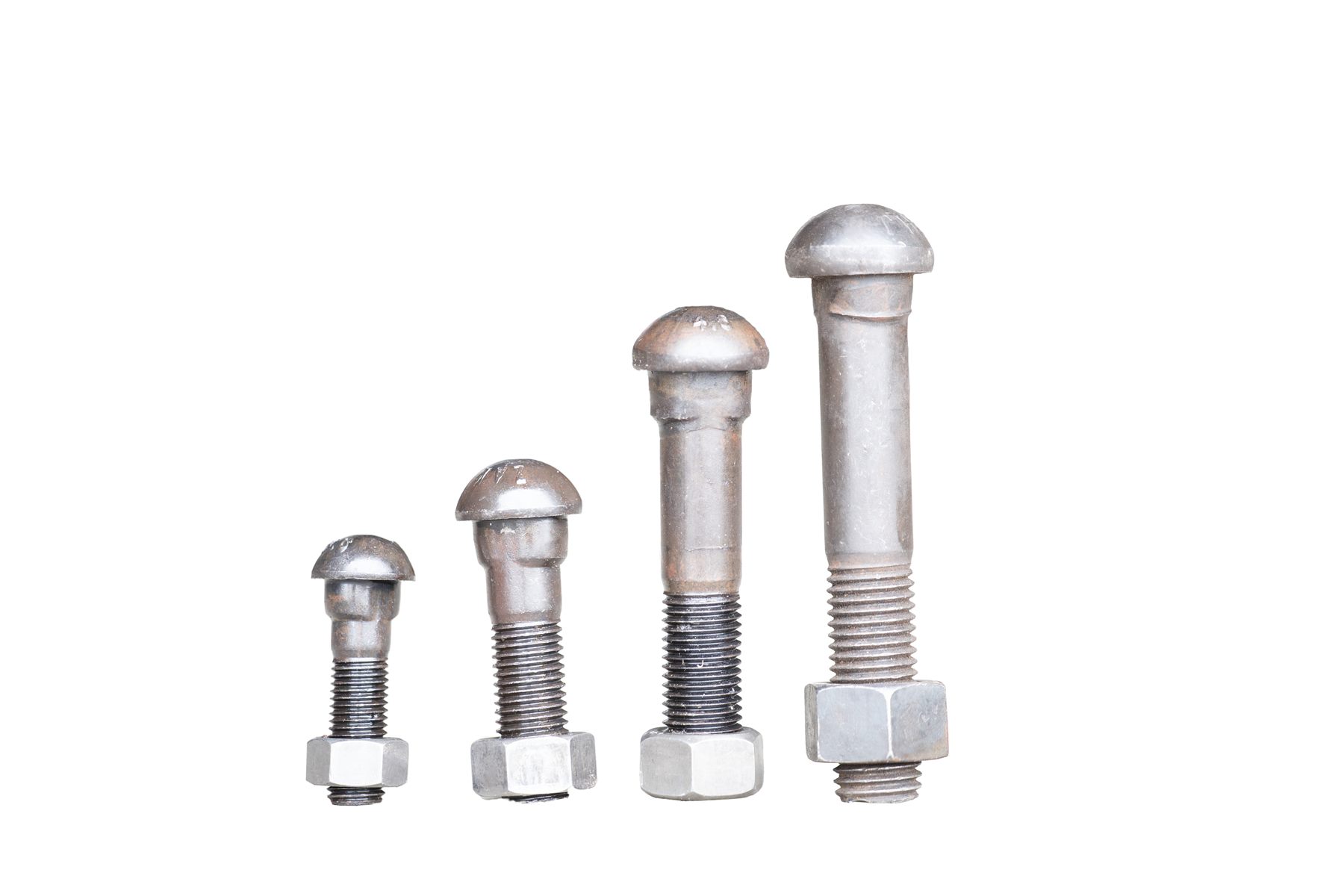 Fish Bolt - Image 22