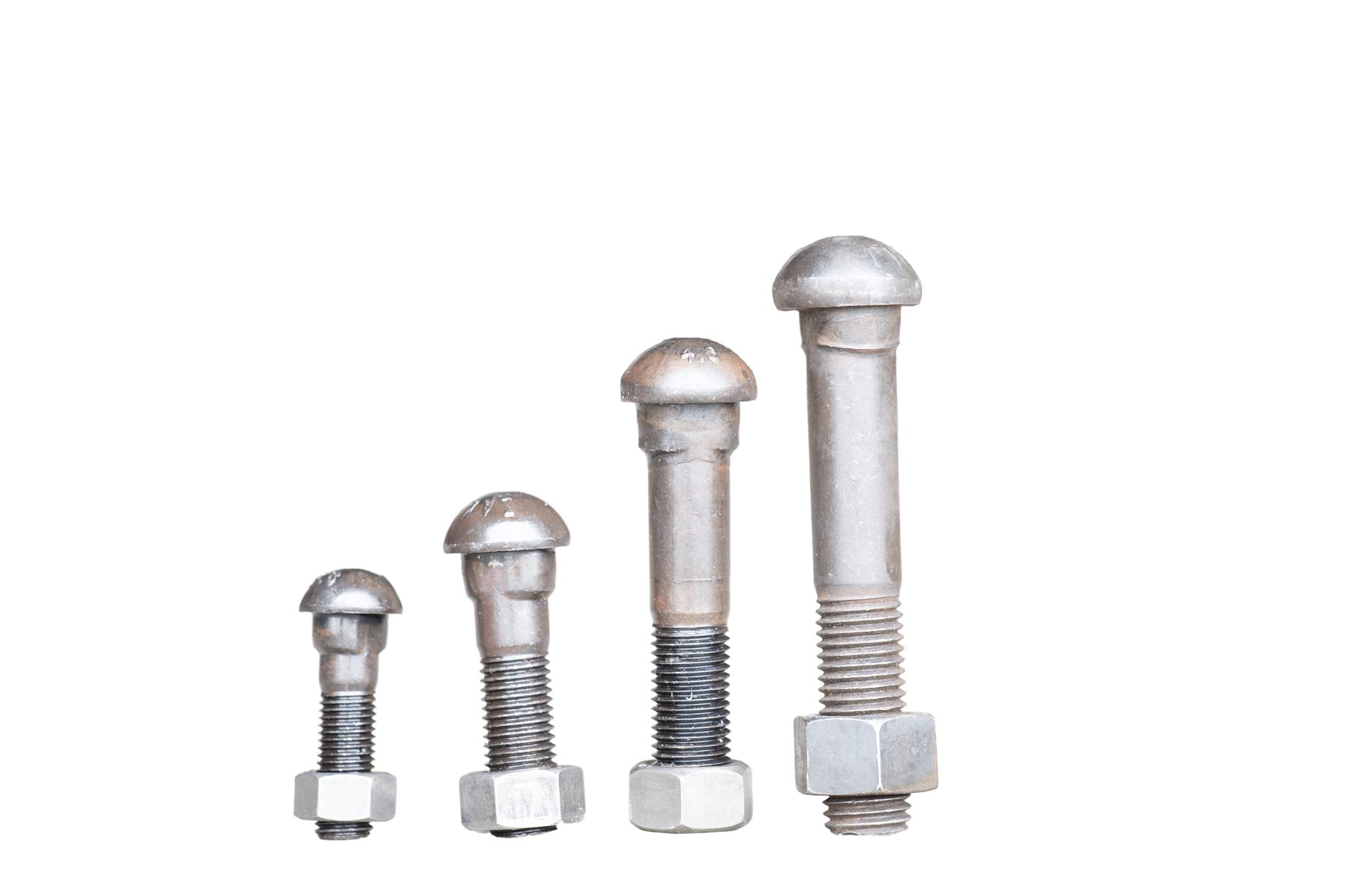Fish Bolt - Image 23